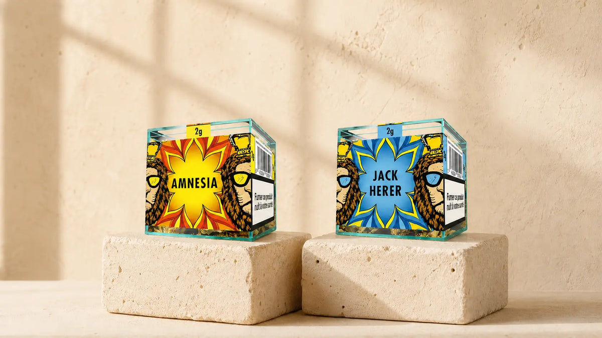 CBD flower products displayed on a limestone surface
