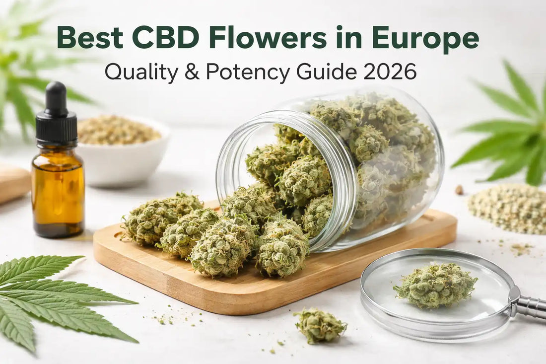 Premium CBD flowers in glass jar with visible trichomes and CBD oil bottle, representing high-quality CBD buds in Europe