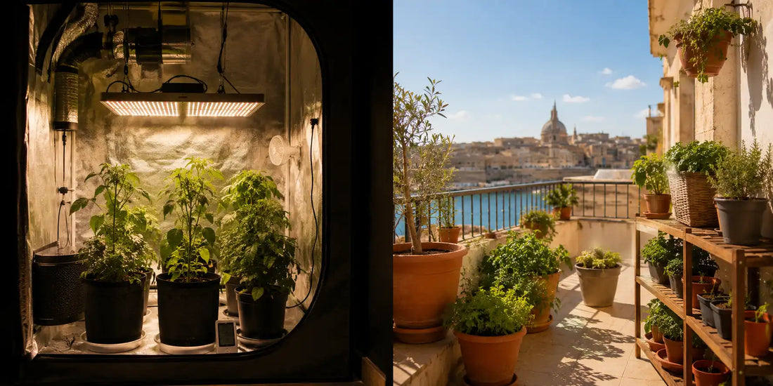 Split-screen comparison of indoor grow tent and Mediterranean balcony container garden in Malta for indoor vs outdoor growing guide