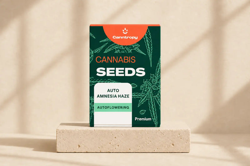 Cannabis autoflower seeds for home growing in Malta