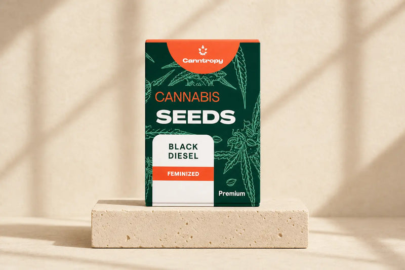 Feminized cannabis seeds for home growing in Malta