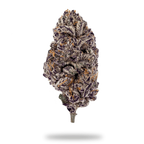 Barney's Farm Purple Punch Feminised Seeds, 90% Indica, 3 Pack 