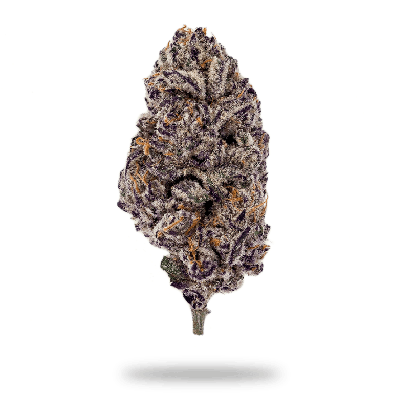 Barney's Farm Purple Punch Feminised Seeds, 90% Indica, 3 Pack 