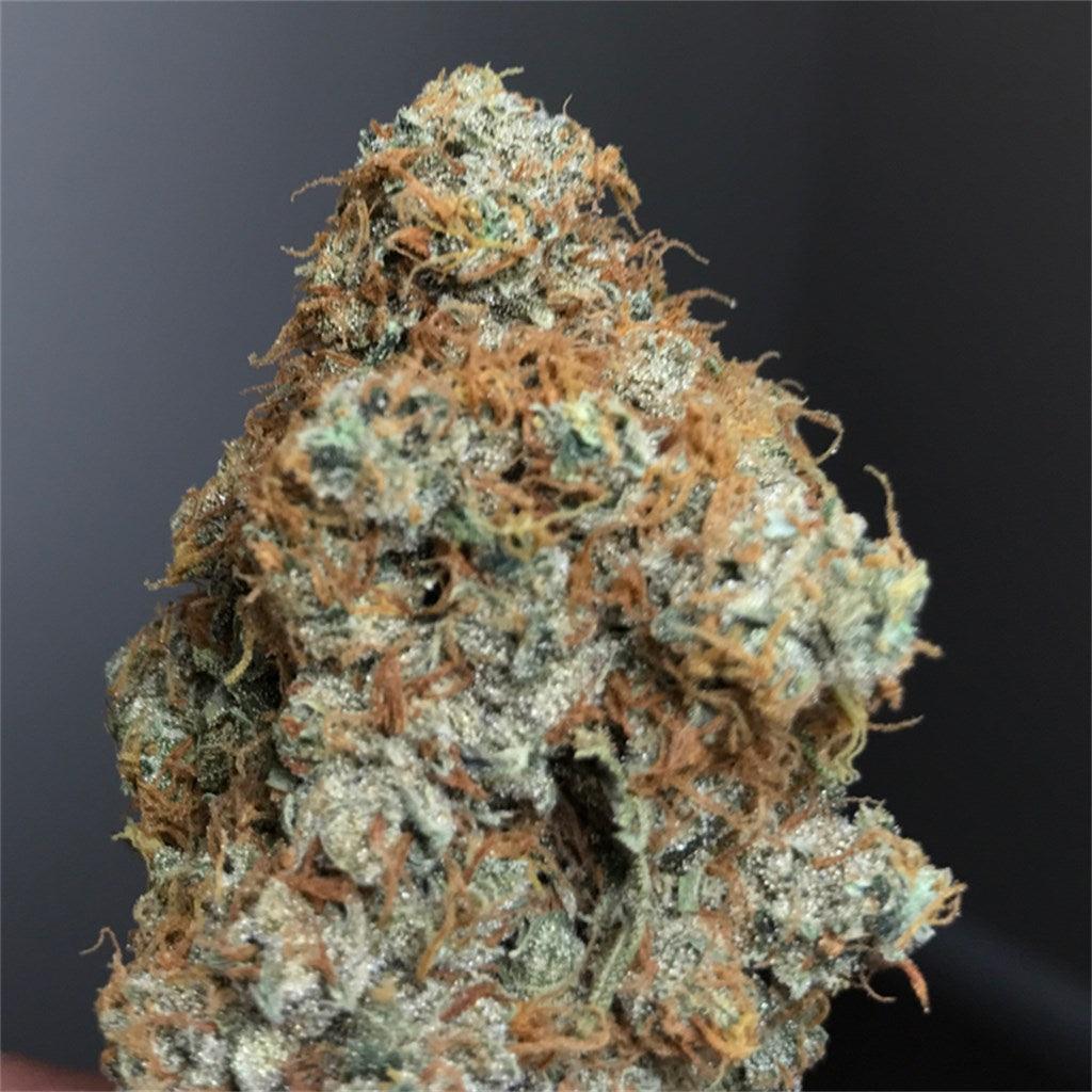 Barney's Farm Triple Cheese Cannabis Seeds, 22% THC Indica, 3 Seeds 