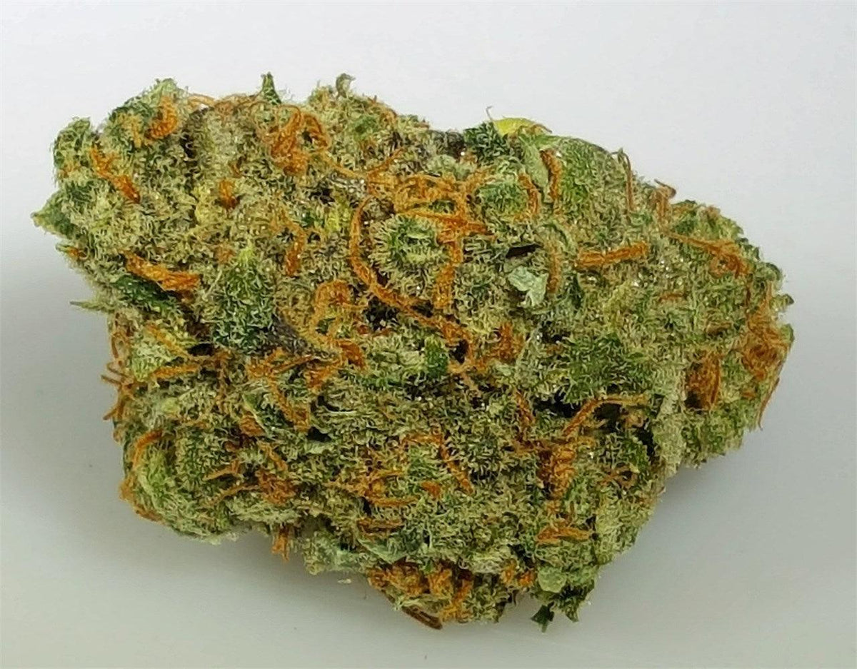 Chocolope Feminised Cannabis Seeds (Sativa-Dominant) 