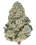 Fast Buds Lemonpaya Feminised Cannabis Seed, 1 Seed Pack, Hybrid 