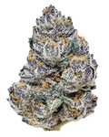 Fast Buds Rainbow Melon Feminised Cannabis Seed, Single Seed Pack 