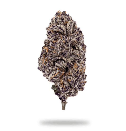Purple Punch - 25% THC - Indica - finished bud