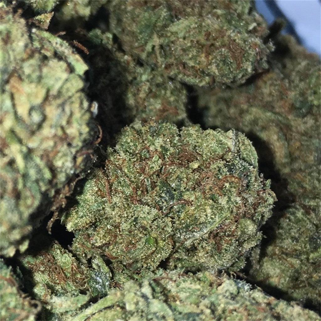 Sour Diesel Feminised Cannabis Seeds (Sativa-Dominant, 70/30) 