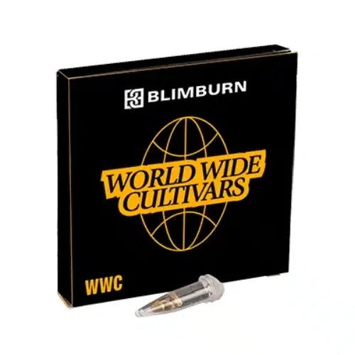 Blimburn Seeds | Zoap | 3 Premium Feminized Seeds - 26% THC - Hybrid box