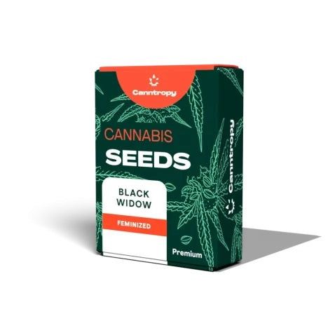 Canntropy Black Widow Feminized Cannabis Seeds — Resinous Potent Hybrid 3 seed pack