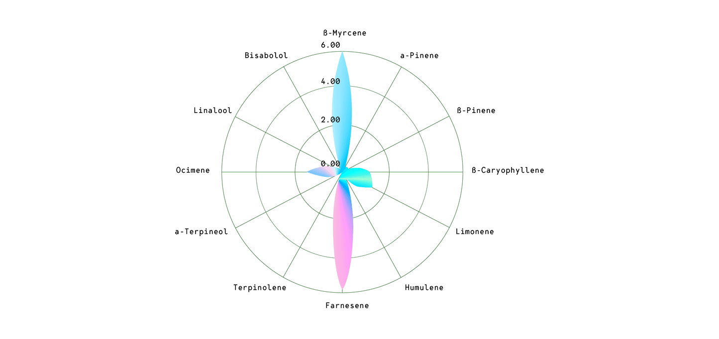 Epsilon F1 Cannabis Seeds: Fast-Growing, Aromatic, and Perfect for Stealthy Cultivation - D Vape Store