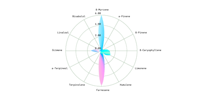 Epsilon F1 Cannabis Seeds: Fast-Growing, Aromatic, and Perfect for Stealthy Cultivation - D Vape Store