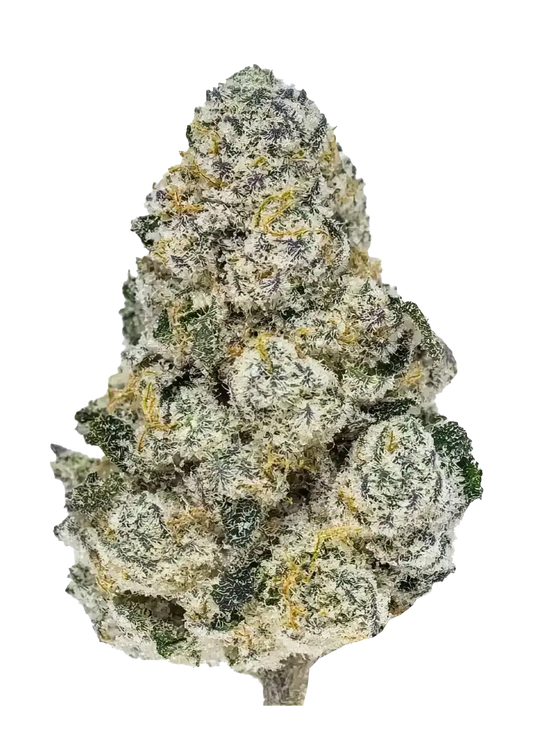 Fast Buds Lemonpaya Feminized Cannabis Seeds – Lemonade x Papaya Hybrid - 1 Seed pack Malta