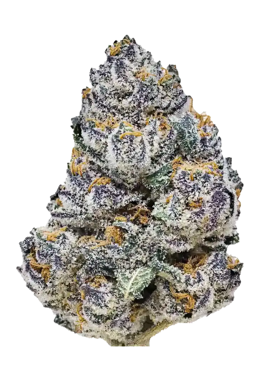 Fast Buds Rainbow Melon Feminized Cannabis Seeds – Melon x Rainbow Chip Hybrid Malta